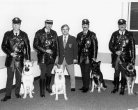 UDPD - 417