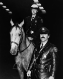 UDPD-396